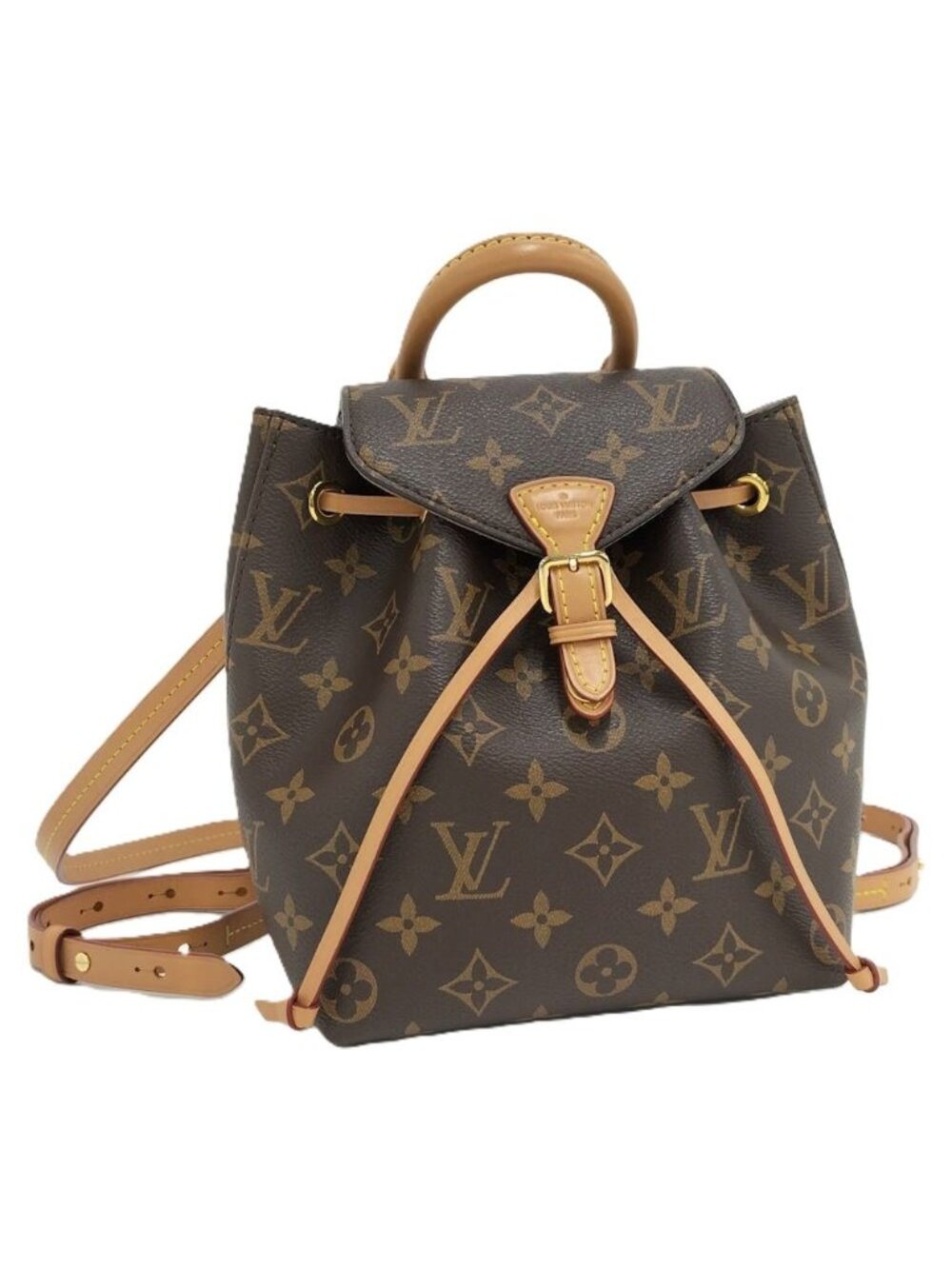 Louis Vuitton Montsouris Mini Backpack Monogram